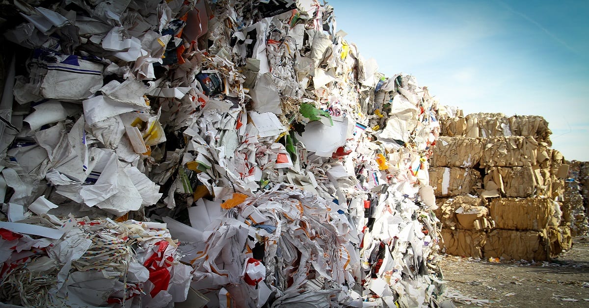 Read more about the article Recycling Basics